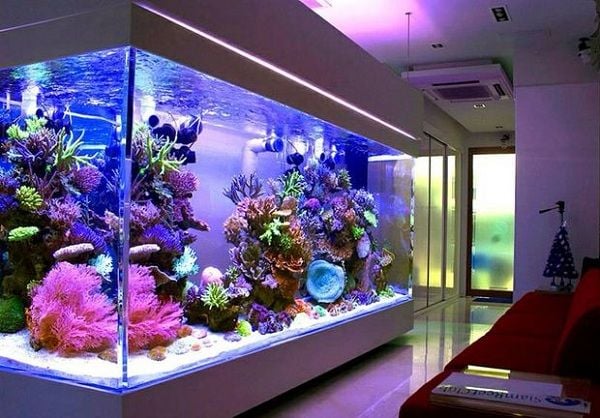 The Ultimate Guide to Aquarium Accessories: Lighting, Filters, Artificial Plants, and Decorations The Ultimate Guide to Aquarium Accessories: Lighting, Filters, Artificial Plants, and Decorations